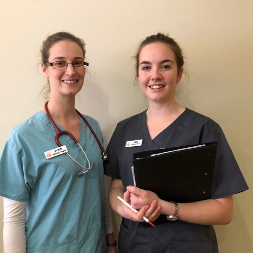 Pet dental Care with dr. Katy