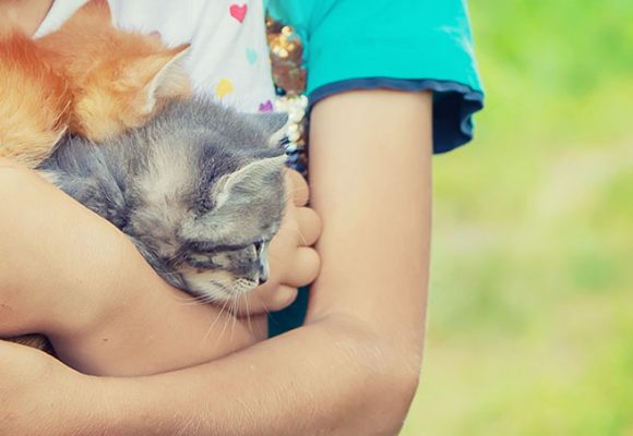 Preventative Pet Care – what is it, and why bother? 