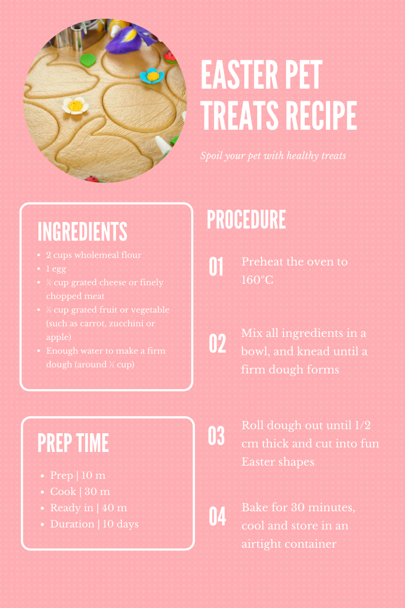 dog treats recipe
