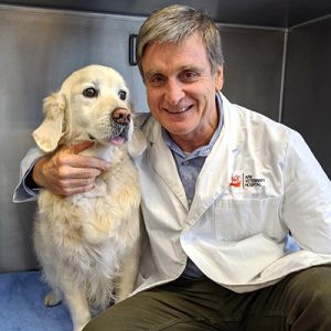Microchipping