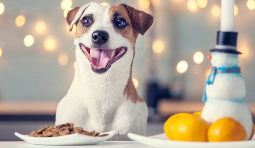 Holiday Foods To Avoid Feeding Pets